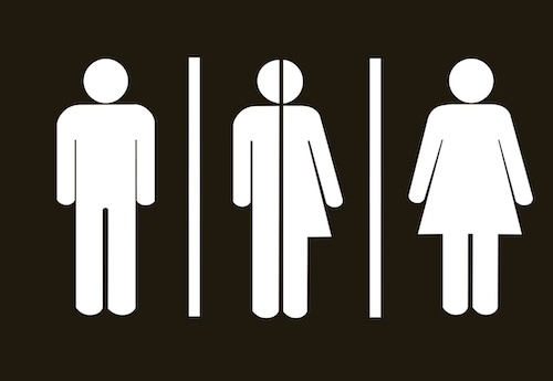 WC Stanford